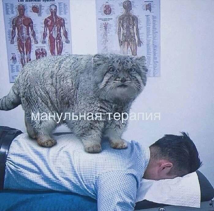 Спасибо всем новым подписчикам!