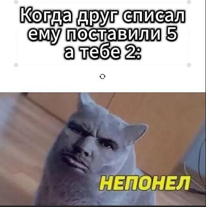 У кого жиза?