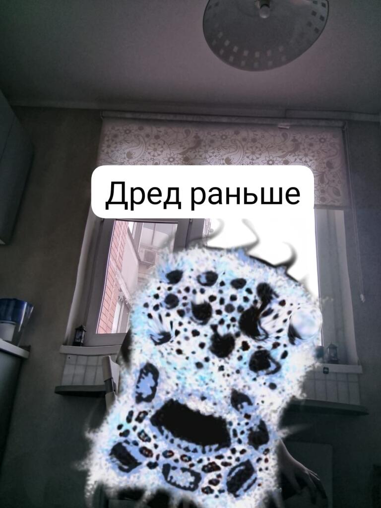 Типичный Дред: