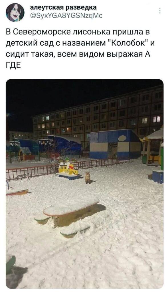 Мем без подписи