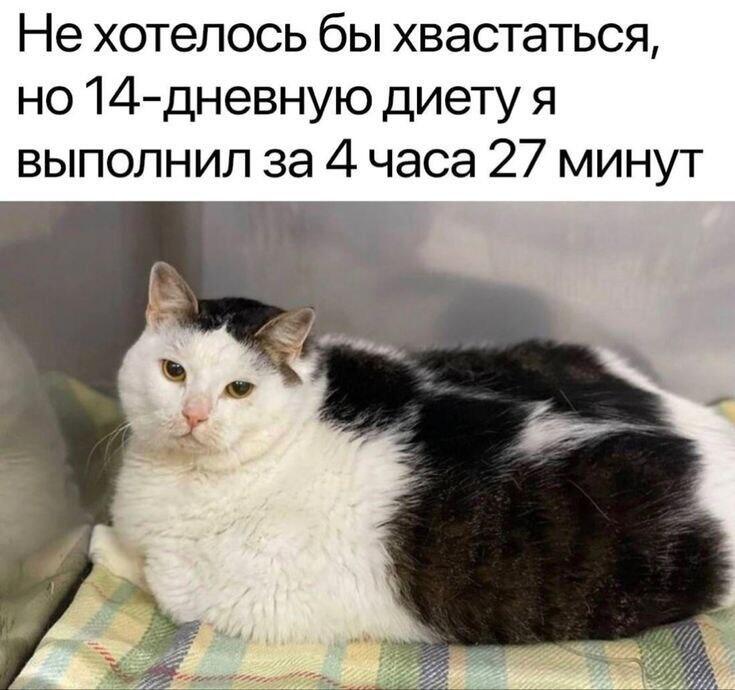 Это я.