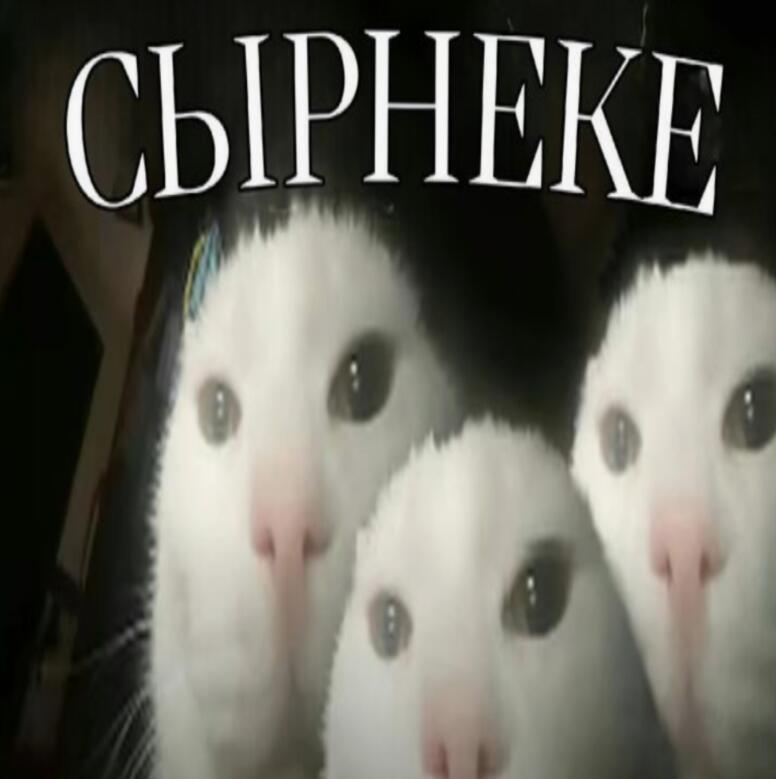 Мем от -Week- CHUP (free Schlep)