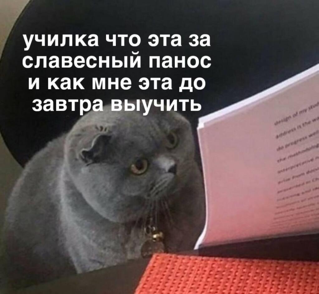 Мем без подписи