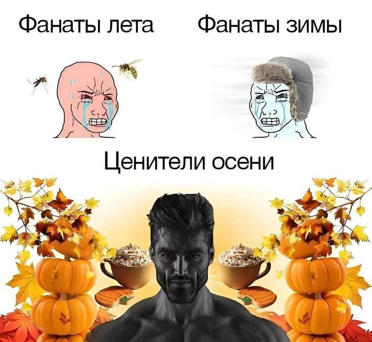 Сейчас самое вайбовое время для того чтобы сидеть дома, пить тёплый ча...