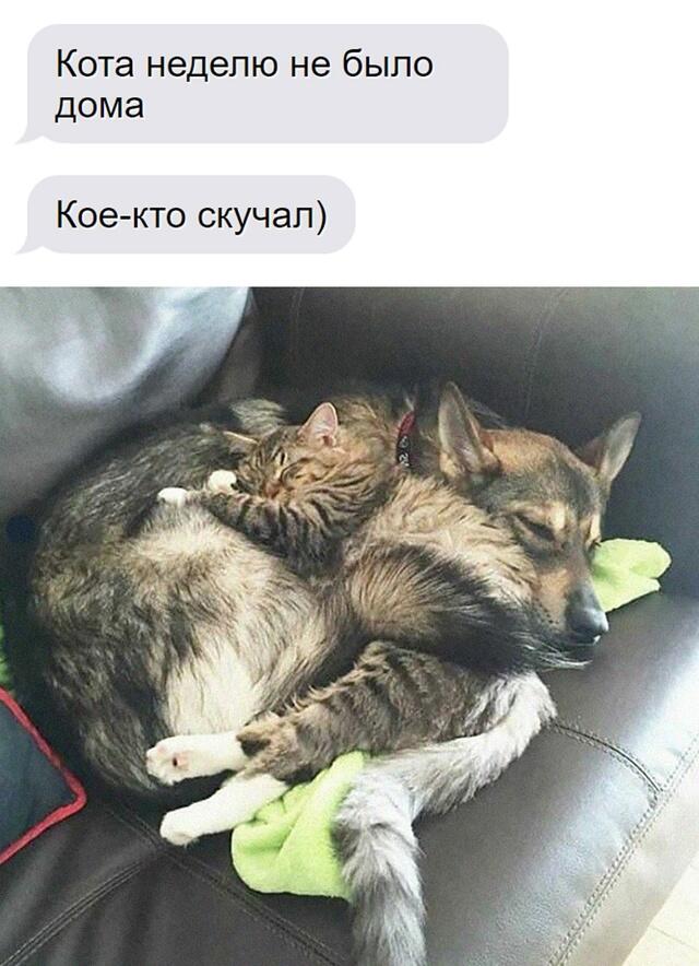 Мем от Лорд Чебурек