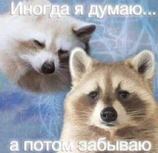 Мем от Коржик