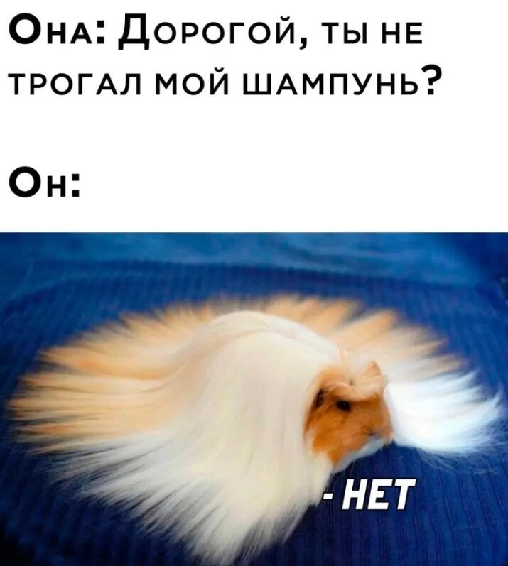 Какишов пакет