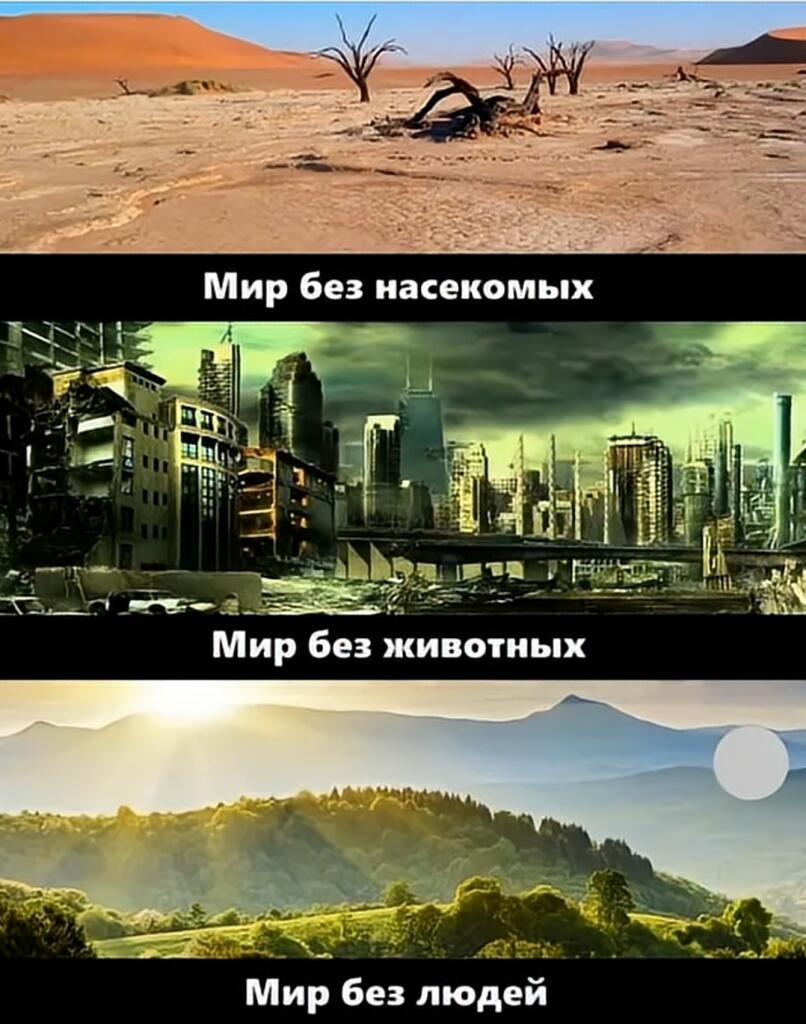 Вот и думайте