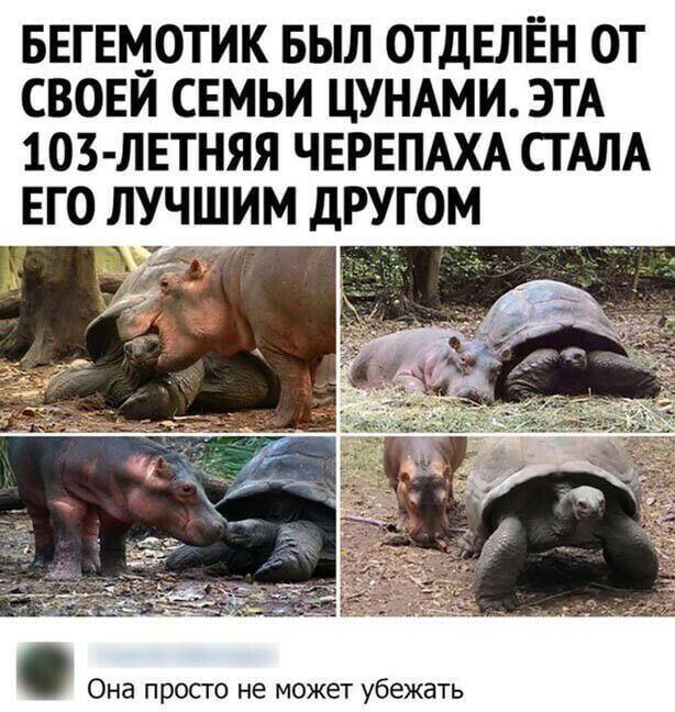 Мем от Джус