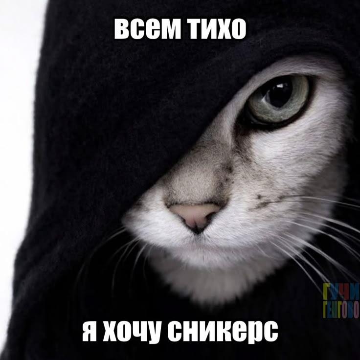 |  \|/