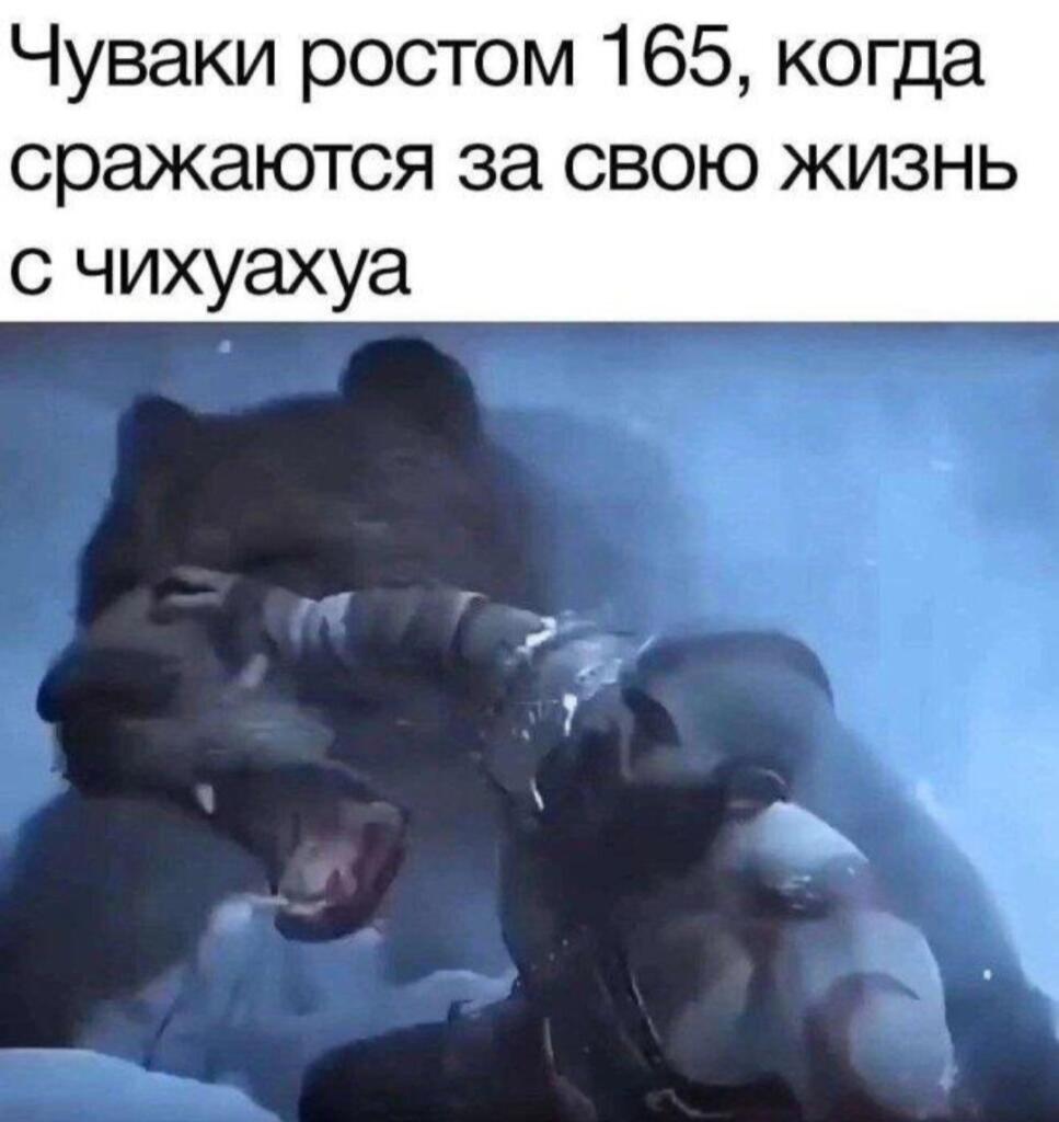 Это я... (спасите пишу из желудка чихуахуа)