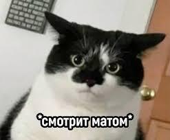 математичка: задает задание в котором более 1 цифры
я:ма