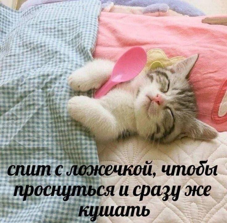 Мем от Сметана CHUP