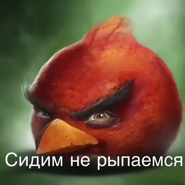 Если ты нажал на кнопку, то значит рыпнулся