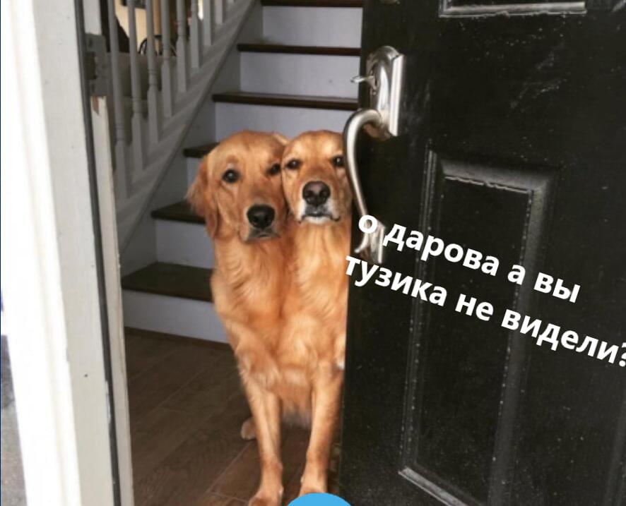 Мем без подписи