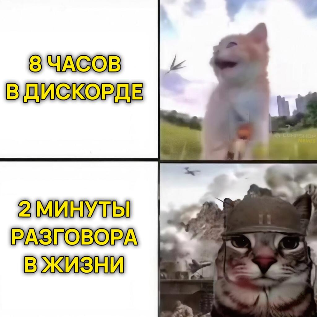 Жиза