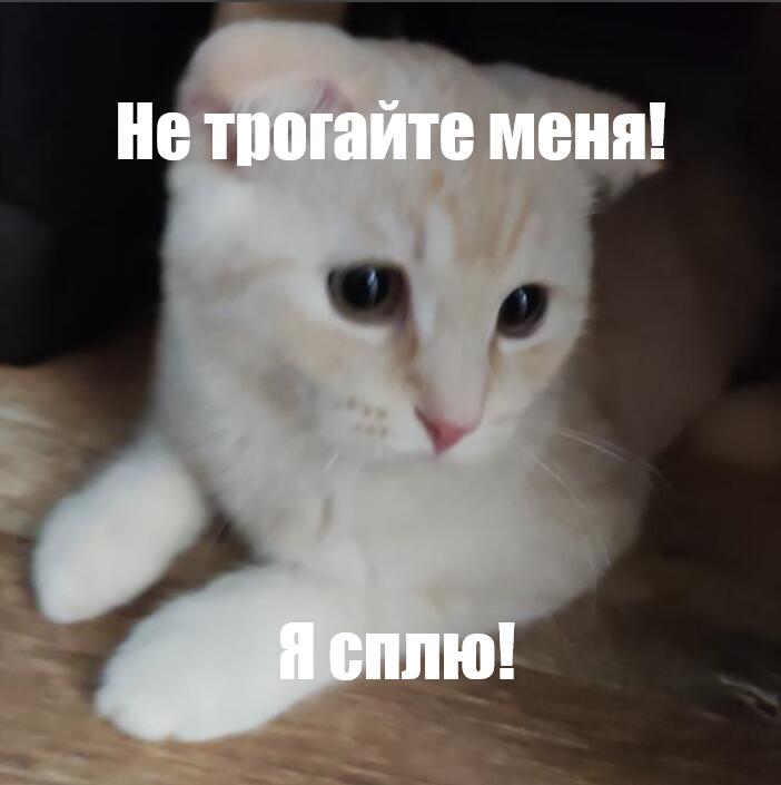 Я когда мама будит меня в школу в 7 утра: