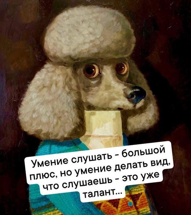 Мем без подписи
