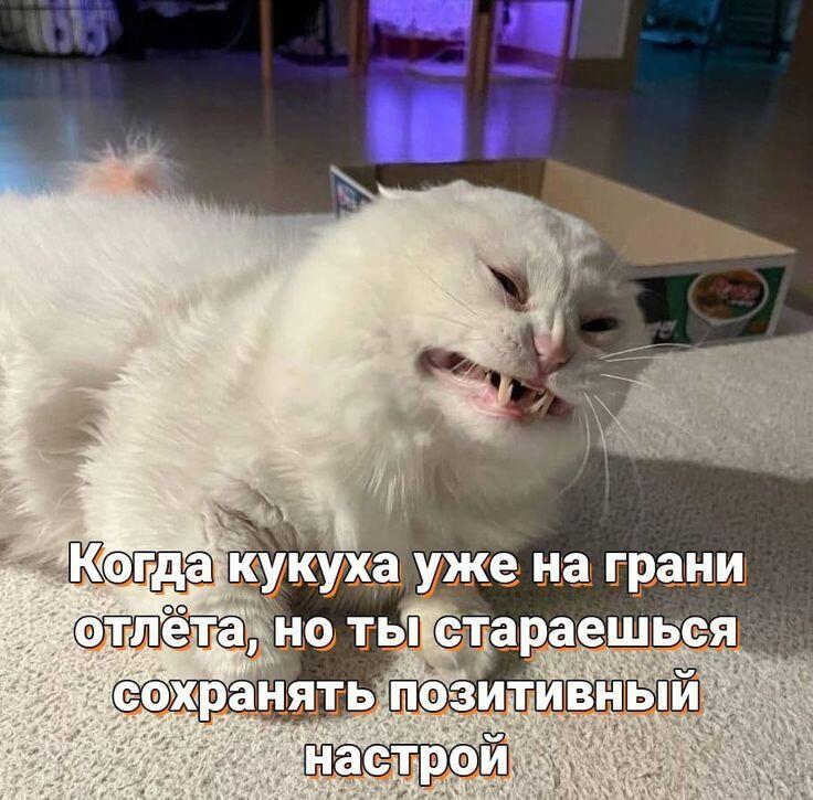Так как много у кого в нике стоит CHUP но в нем состоят не все, вот список тех кто точно в CHUP, чтоб не путались.
Если