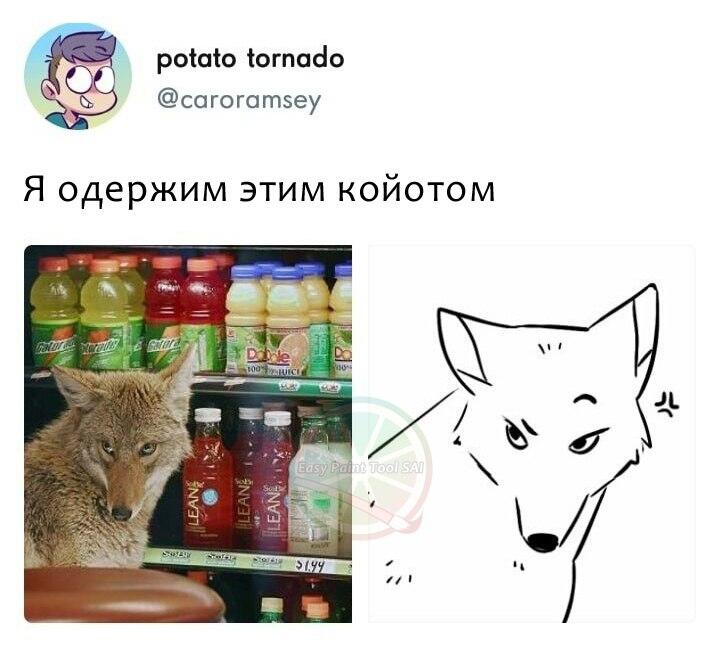 Мем от Blender User