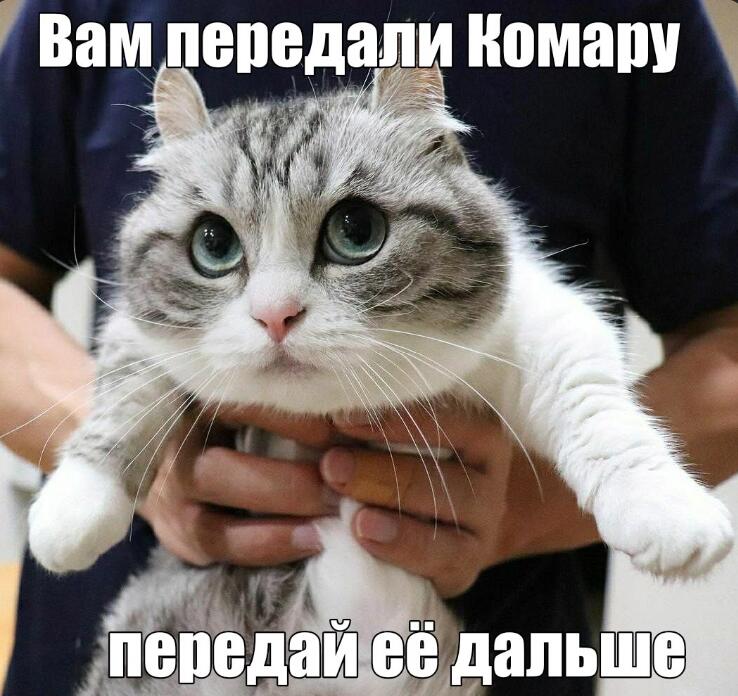Мем без подписи