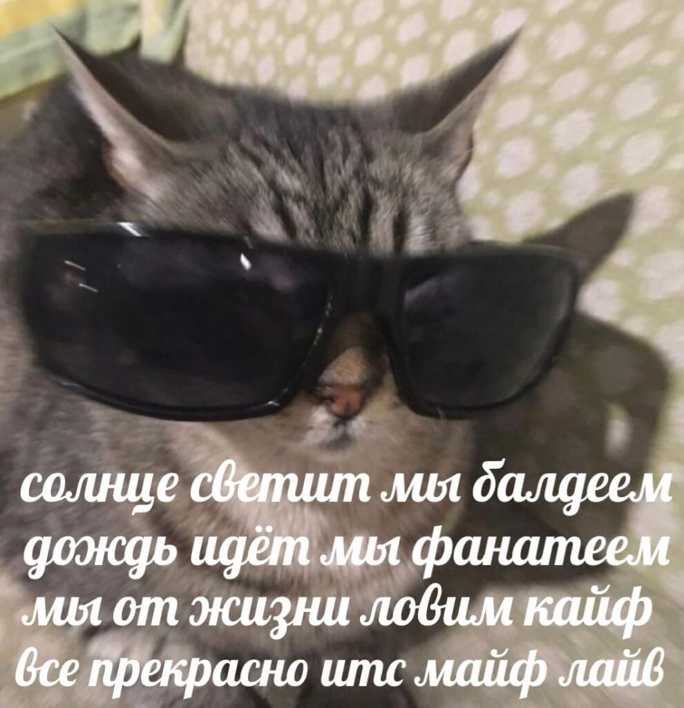 Только сейчас заметил, что у меня на странице уже 1000 лайков (даже больше).
Спасибо вам большое!!
(не знаю, что ещё ска