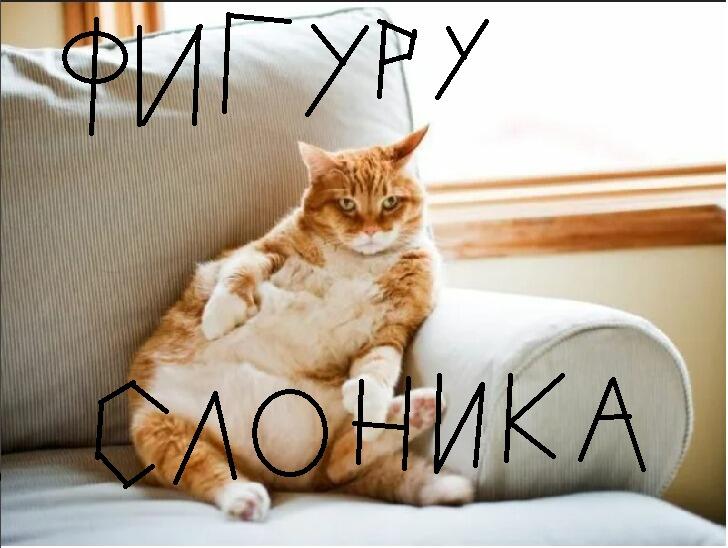 когда остался последний кусок пиццы:
парень:будешь кусок пиццы
я:да
парень:ты же поддерживаешь фигуру
я:да