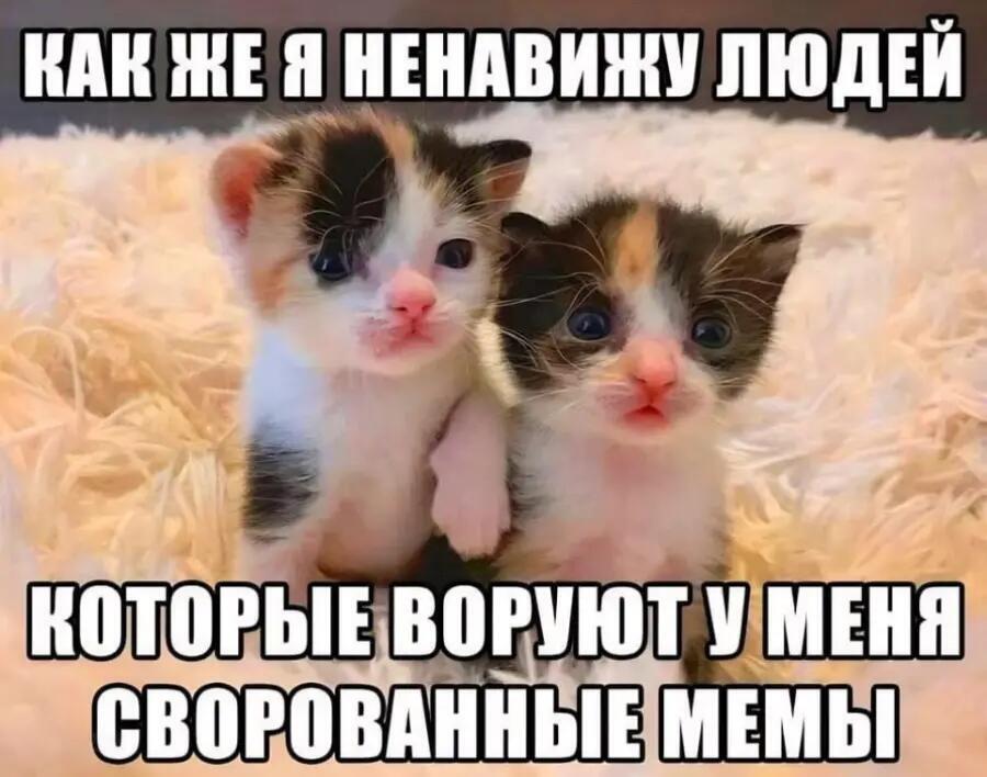 Трижды сворованный мем)