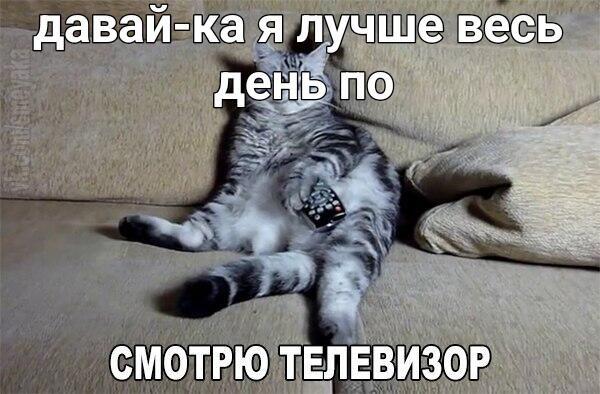 Я: *регаюсь в мемозге* Также я после этого: