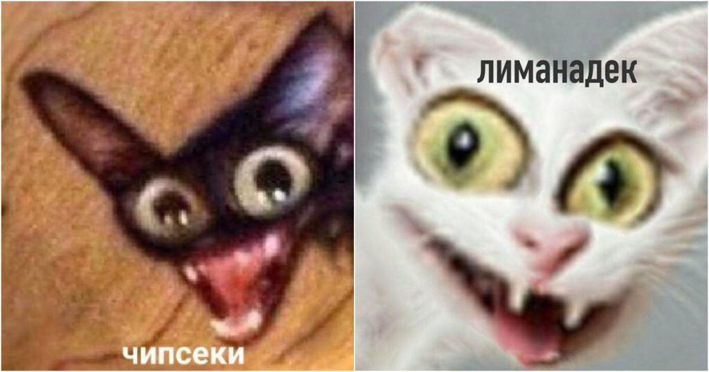 я летом