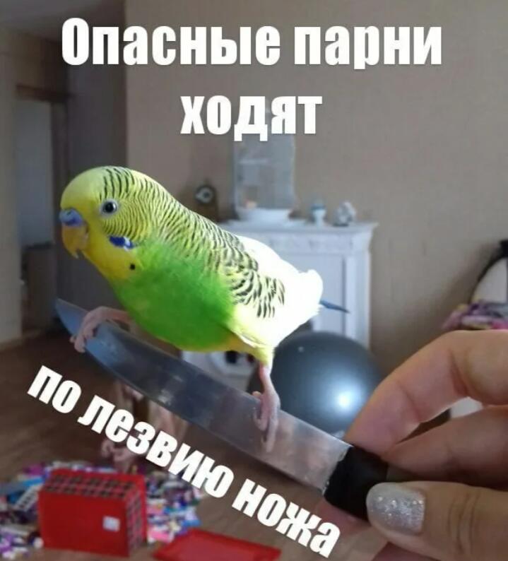 Мем без подписи
