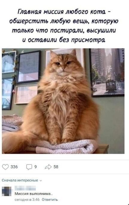 Мем от db