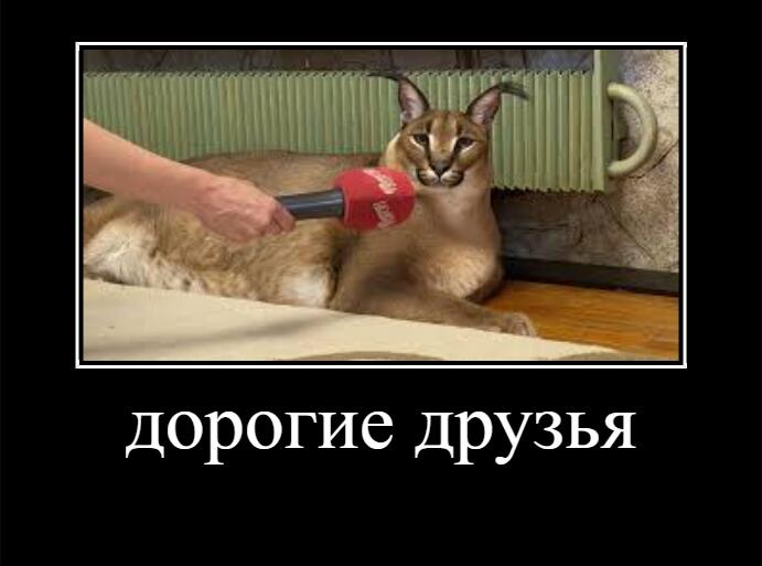 с микрофоном