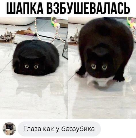 Мем без подписи