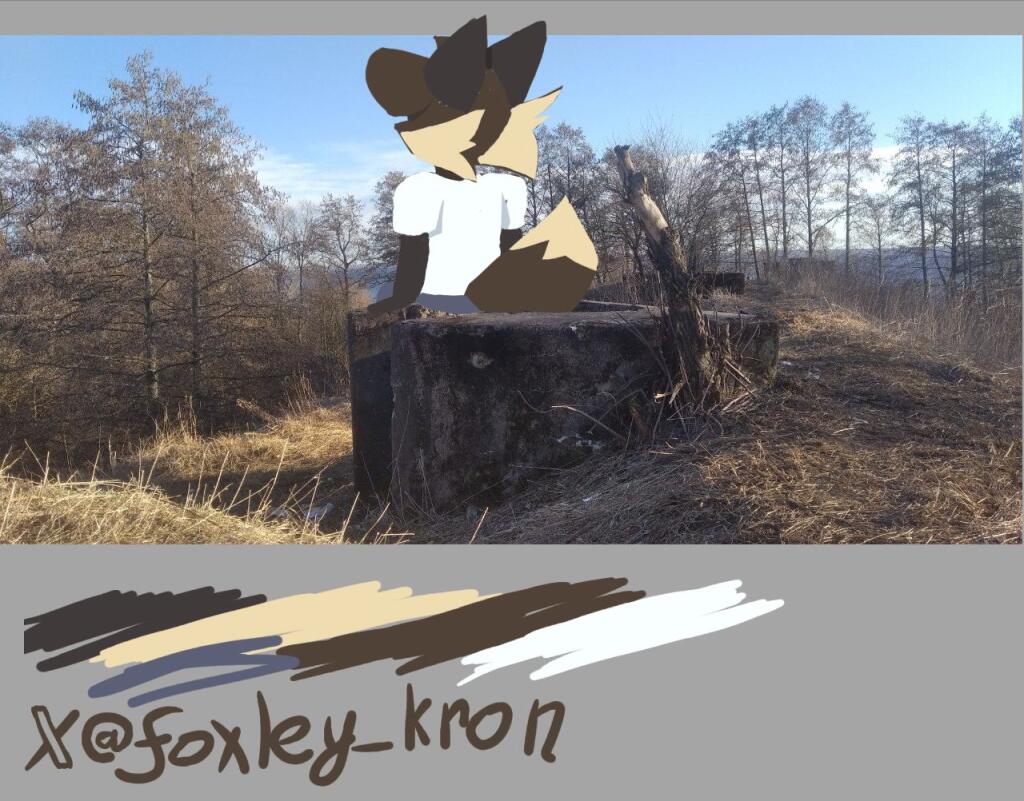 Kofi_simon решил дать задачу нарисовать небольшой дудлик, используя па...