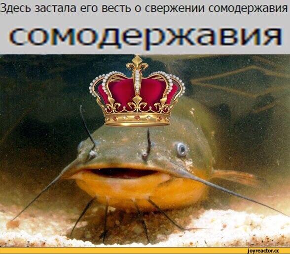 Мем без подписи