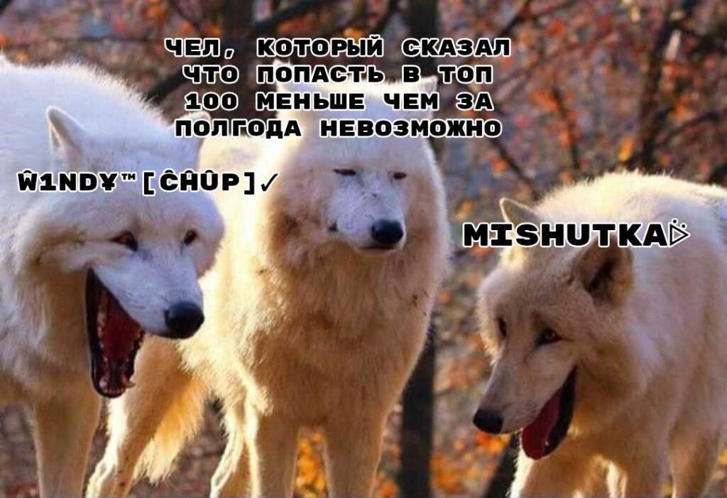 Мем без подписи