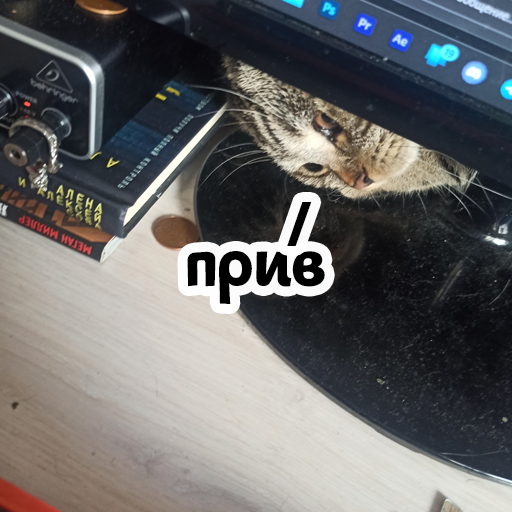 Стикер