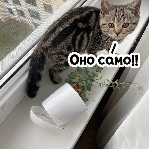 Стикер