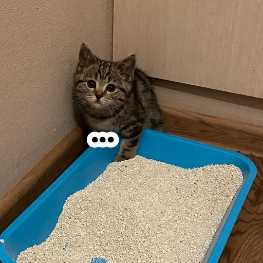 Стикер