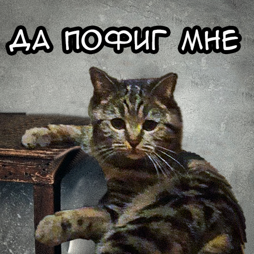 Стикер
