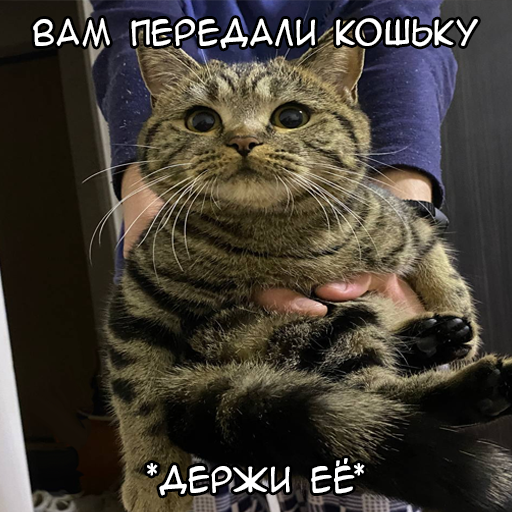 Стикер