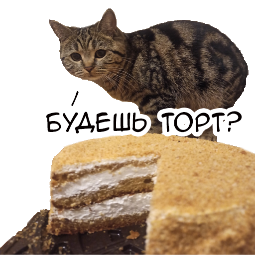 Стикер