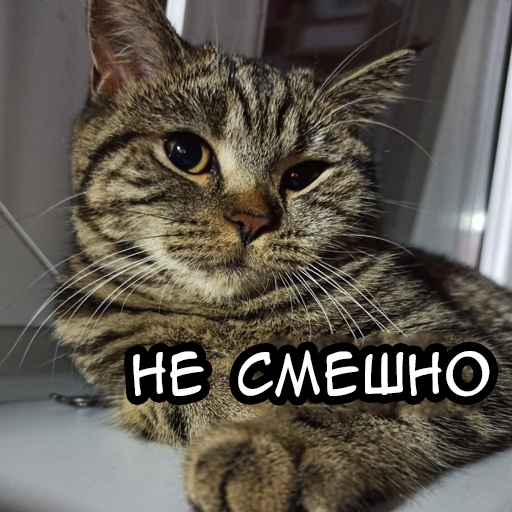 Стикер
