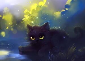 МИСТЕР CAT