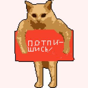 Мемный кот в компании (С.О.М)