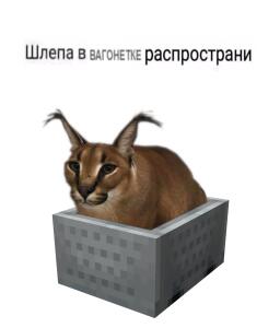 шлёпка
