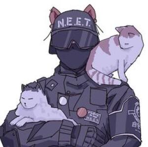 cato (gato)