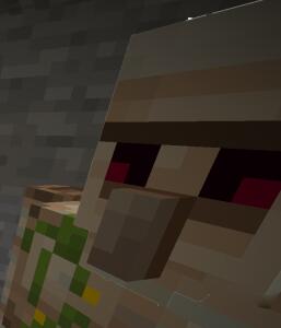 Stepan_pro