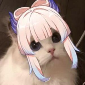 _genshin_mems_